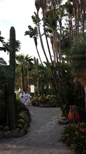 2014-04-13 17.48.25.jpg