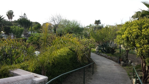 2014-04-13 17.50.33.jpg