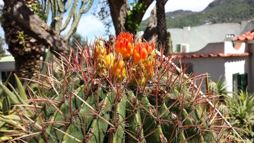 2014-04-17 12.11.27.jpg