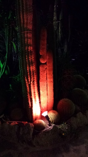 2014-04-17 21.10.10.jpg
